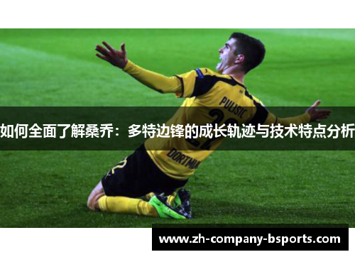 如何全面了解桑乔：多特边锋的成长轨迹与技术特点分析