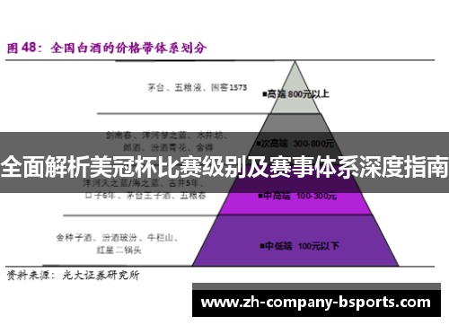 全面解析美冠杯比赛级别及赛事体系深度指南
